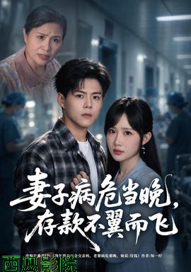 妻子病危当晚，存款不翼而飞 现代都市全集